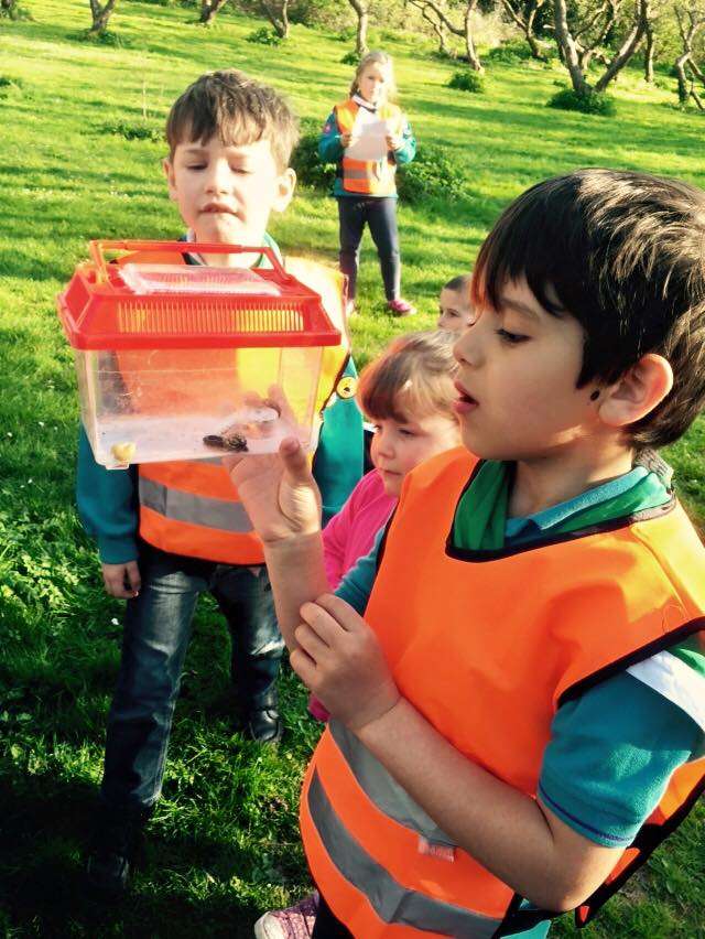 Little Foresters go bug hunting